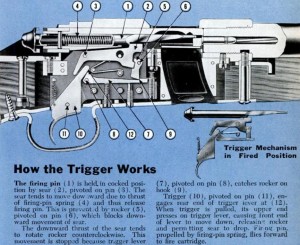 Winchester .22 Model 52 Rifle Trigger Mechanism Cutaway, 1951 ...